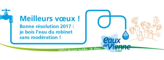 Bonne année 2017!